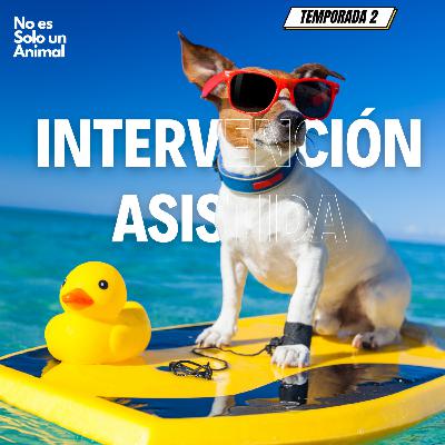 Perreo Terapéutico Perreo Terapéutico