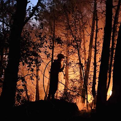 Feux de forêt : des pompiers de l'Eure aguerris après leurs déploiements dans l'Aude