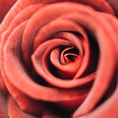 Episode 7: What should SHE look like? Episode 7: What should SHE look like?