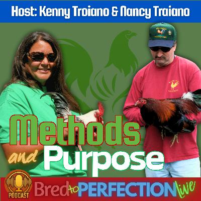 Ep251 - Every Method has a Particular Function and Purpose