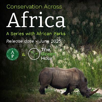 Coming June 2025: Conservation Across Africa - A Series with African Parks