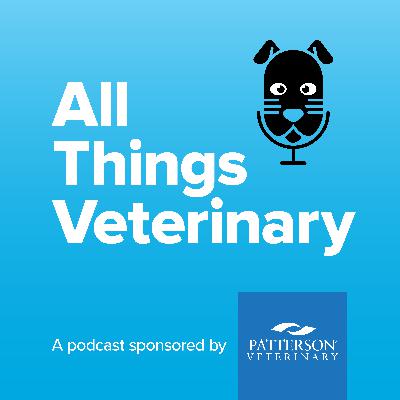 Elevating Client Service in Veterinary Medicine with Debbie Boone, CVPM
