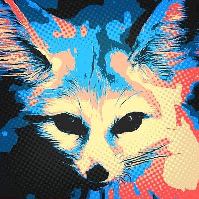 Fénec - Especie del día 2 Fénec - Especie del día 2