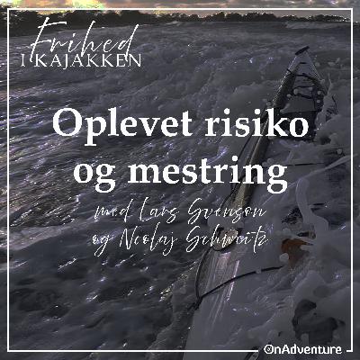 Oplevet risiko og mestring i havkajak Oplevet risiko og mestring i havkajak