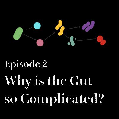 #2 Why is the Gut so Complicated?