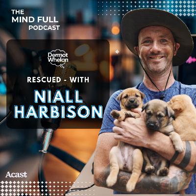 Rescued with Niall Harbison