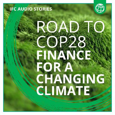 Road to COP28: Finance for a Changing Climate