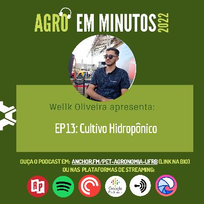 EP13/T03 Cultivo Hidropônico