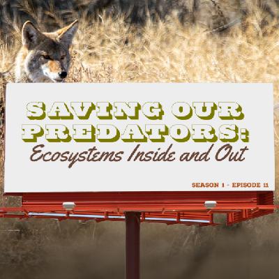 Saving our Predators: Ecosystems Inside and Out