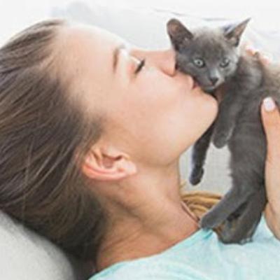New Cat Homecoming