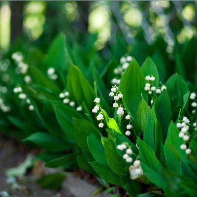 Crackhead hours with Shayla Crackhead hours with Shayla