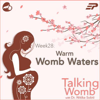 Week 28: Warm Womb Waters