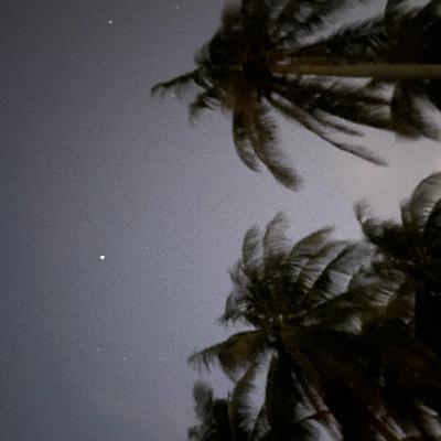 Idylle oder Gefahr? Idylle oder Gefahr?