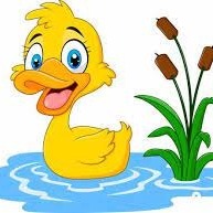 قصه چهارم، اردک کوچولو و درخت بزرگ