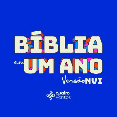 DIA 347 I 13 de Dezembro