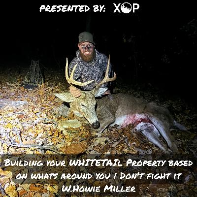 Building your WHITETAIl Property based on whats around you | Don't fight it W.Howie Miller