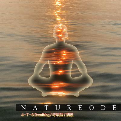 闭气冥想[放松]·海之呼吸