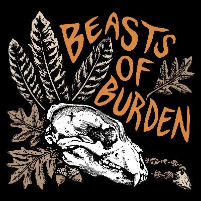 Ep. 169: Late Summer TSI