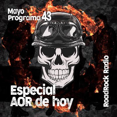 RoadRock Radio. Programa 43. Especial AOR 2025