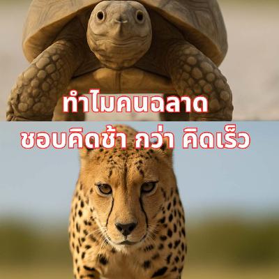 9 เหตุผลทำไมคนฉลาด และประสบความสำเร็จ จึงคิดช้า มากกว่า คิดเร็ว 9 เหตุผลทำไมคนฉลาด และประสบความสำเร็จ จึงคิดช้า มากกว่า คิดเร็ว