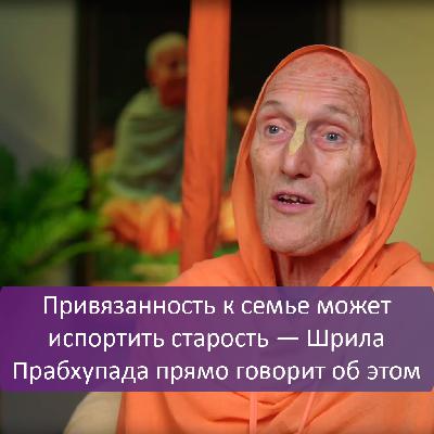 Привязанность к семье может испортить старость — Шрила Прабхупада прямо говорит об этом