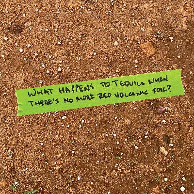 What happens to Tequila when there’s no more red volcanic soil?