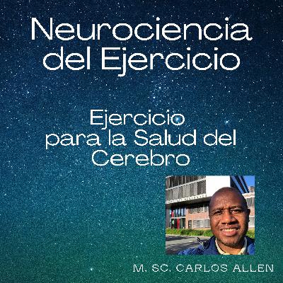 Neuroanatomia II