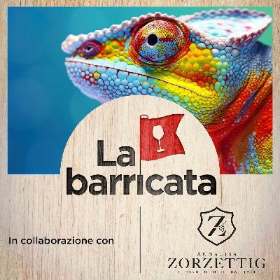 Di vitigni da salvare e vini camaleonti (con Carlo De Biasi)