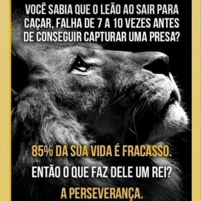 E4. Realização. Gn 2.