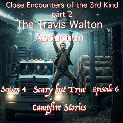 The Travis Walton Abduction: CE3 part 2