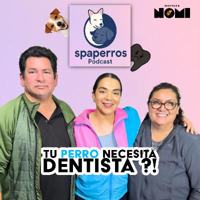 ¿Sabías que los perros necesitan dentista? 🦷🐶