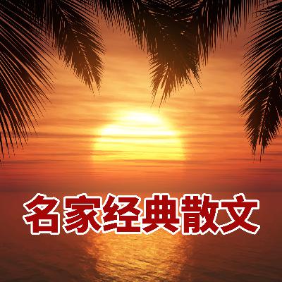 宗璞 花的话