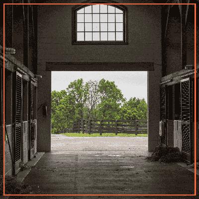 Switching Barns - 'Tis the Season