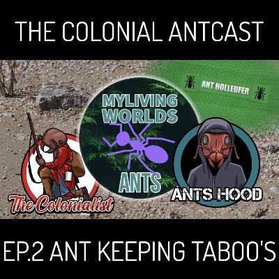 The Colonial AntCast Ep.2 - Ant Keeping Taboo