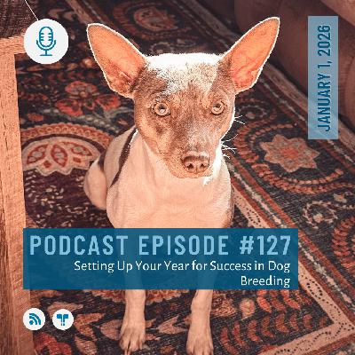 #127 - Setting Up Your Year for Success #127 - Setting Up Your Year for Success