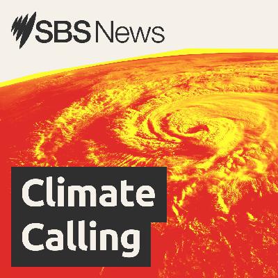 Hopes dashed as global fossil fuel emissions increase in 2025 Hopes dashed as global fossil fuel emissions increase in 2025