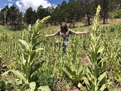 PPP 23: Herbs, Foraging & a Jingle w/ Kyle Denton of Tippecanoe Herbs