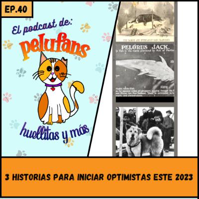 E40| 3 HISTORIAS PARA INICIAR OPTIMISTAS ESTE 2023| Pelufans, Huellitas y Más