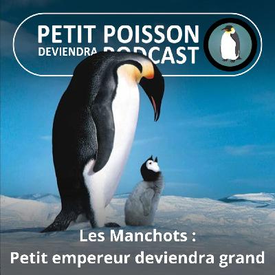 S05E20 Les Manchots : Le film phénomène "La Marche de l'Empereur " (Mathilde Chevallay)