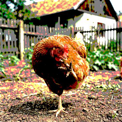 #268 - A tyúk, amely a lábujjat szopogatja #268 - A tyúk, amely a lábujjat szopogatja