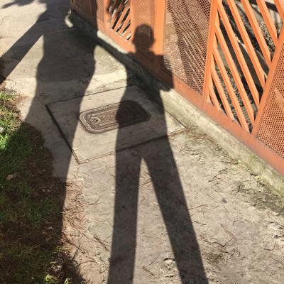 Julio Cortázar: Historias de Cronopios y de Famas - Conservación de Recuerdos