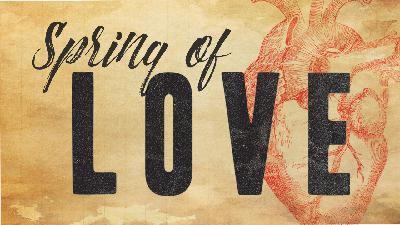 Spring of Love: Week 7 Spring of Love: Week 7