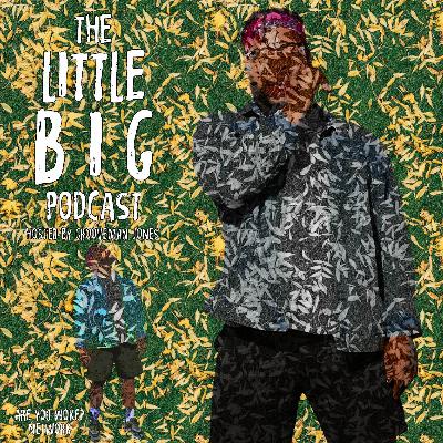 The LittleBig Podcast  Episode 052: Child...Hush!