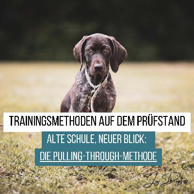 Trainingsmethoden auf dem Prüfstand – Folge 1: Die Pulling-Through-Methode