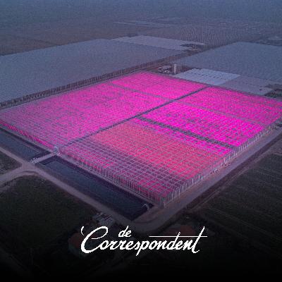 Wanhoop niet: dankzij Europa kunnen we de strijd tegen klimaatopwarming nog winnen