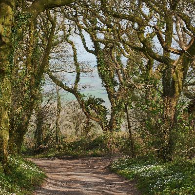 A.E. Housman - A Shropshire Lad 31: On Wenlock Edge the wood's in trouble