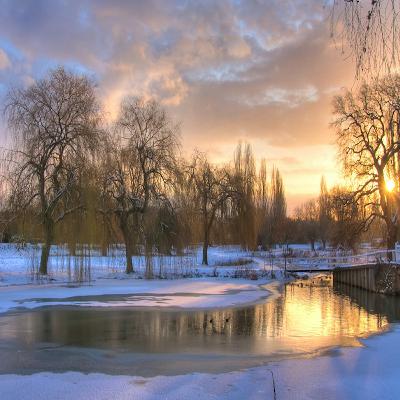 A Journey Through Nature: Our Winter Wildlife Adventure