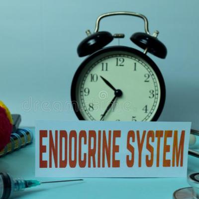 39. rész: A hormonrendszer 39. rész: A hormonrendszer