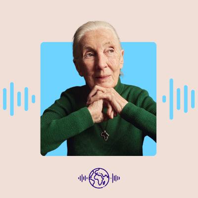 World Leaders Should Learn from Chimpanzees - Dr Jane Goodall (1/2)