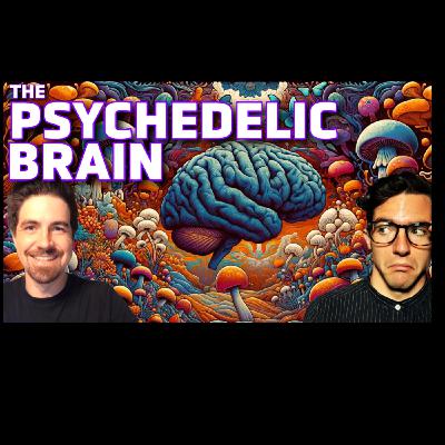 Revealing the Mind: The Neuroscience of Psychedelics